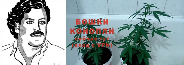 шишки Алзамай