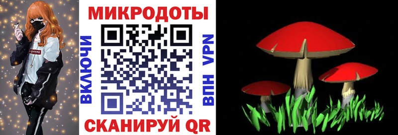 Псилоцибиновые грибы Psilocybe  даркнет сайт  блэк спрут как зайти  Николаевск-на-Амуре 